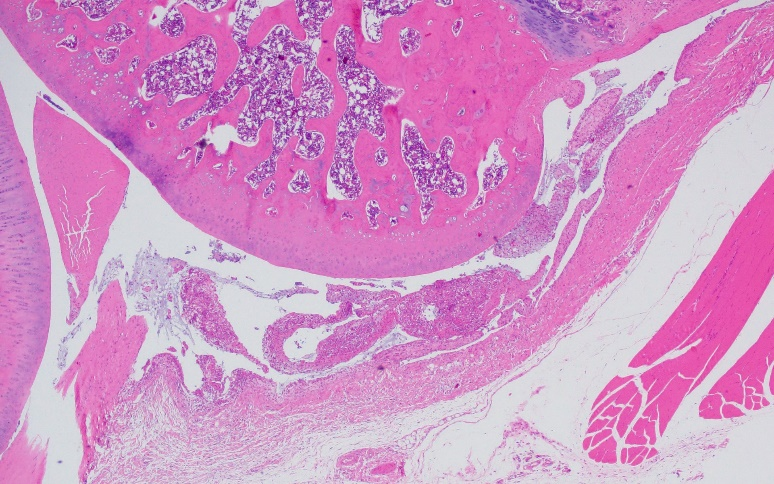 1764034198465646.png 圖片3.png