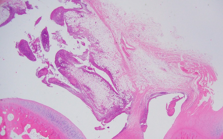 1764034307442022.png 圖片4.png