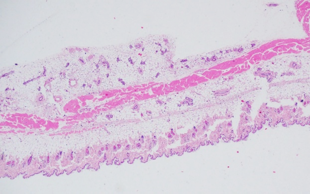 1764034376139078.png 圖片5.png