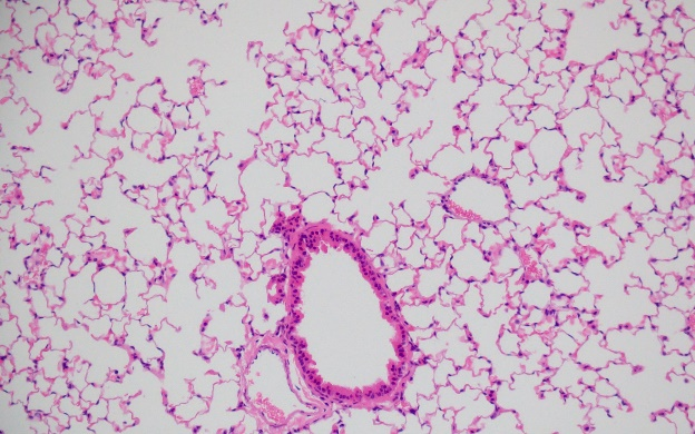 1764034427113281.png 圖片6.png