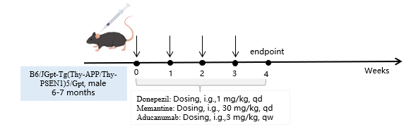 1766974182455663.png 圖片1.png