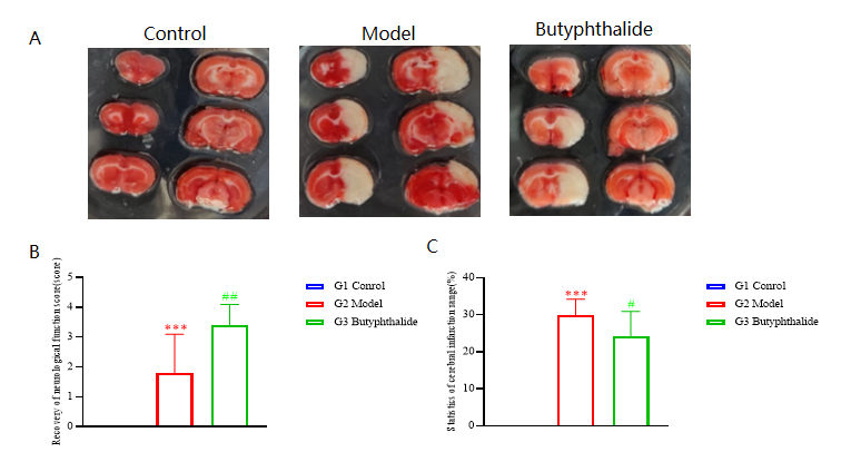 1766974226668455.png 圖片6.png