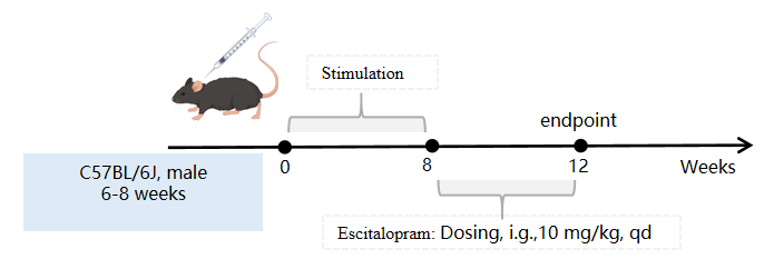 1766974233962405.png 圖片7.png