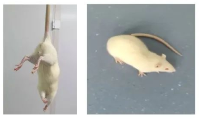 1652868739972346.png image.png