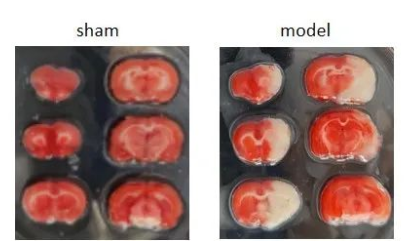 1652868752475372.png image.png