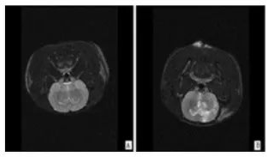 1652868768684635.png image.png