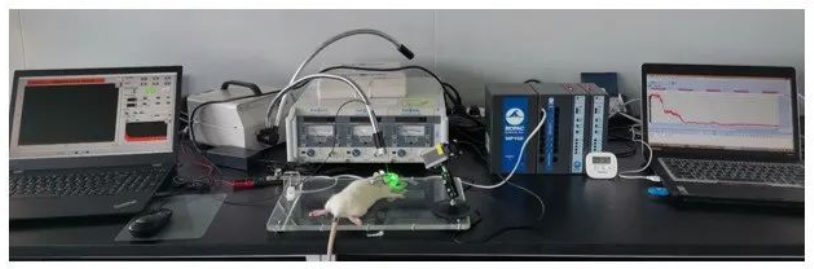 1652868780994593.png image.png