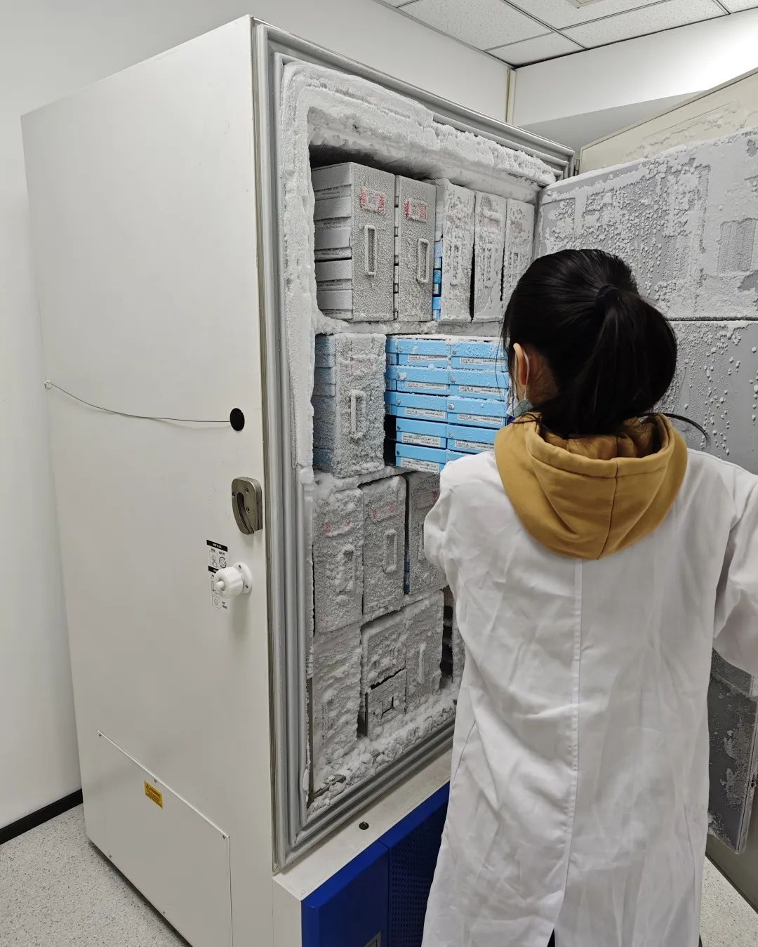 1701133294105143.jpg 640 (4).jpg