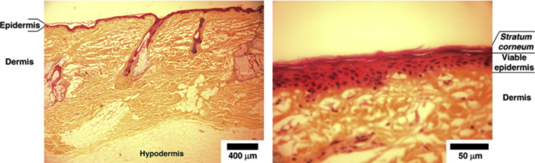 1701133655126896.png 640 (2).png