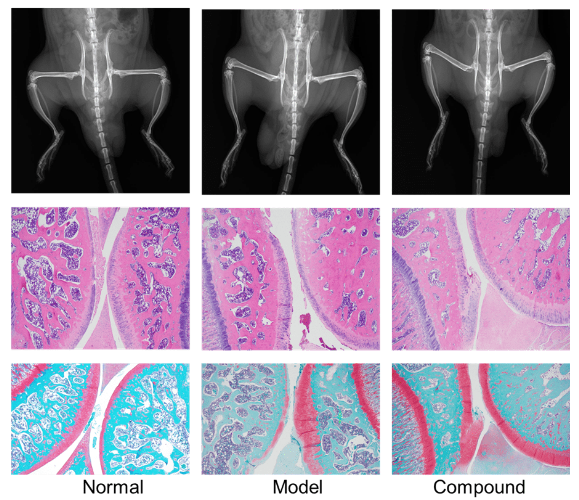 1701222770126758.png 640 (5).png