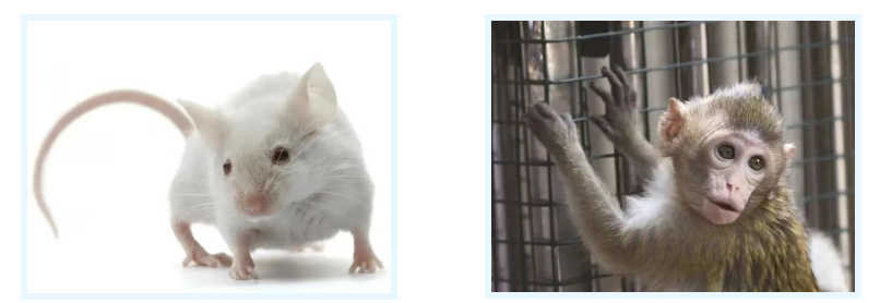 1717133518125033.png image.png